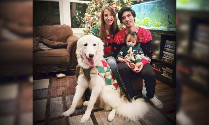 Un chien au comportement étrange détecte un feu d’origine électrique derrière un mur et sauve la vie de toute une famille