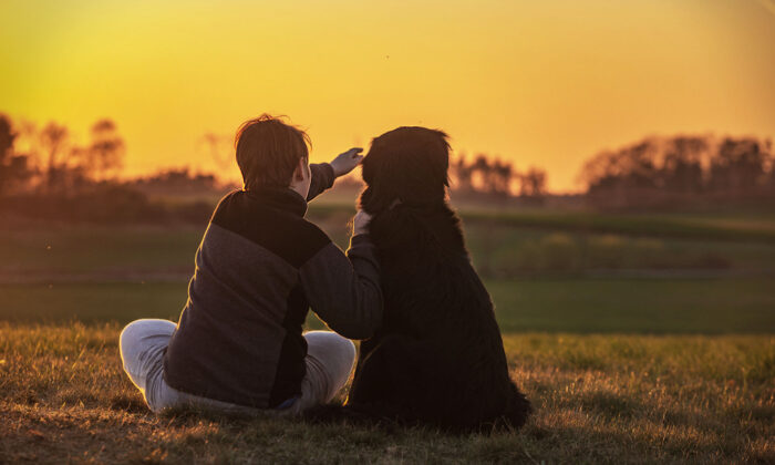 Les deux chiens de la famille réveillent un garçon de 10 ans pendant un incendie de sa maison, mais périssent après lui avoir sauvé la vie