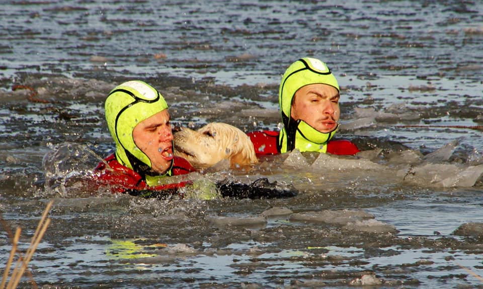 Lorraine : un chien tombe dans l&rsquo;eau glacée, les pompiers réussissent à lui sauver la vie