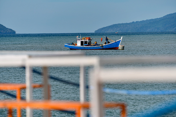 Indonésie : un bébé requin avec « un visage humain » découvert par un pêcheur