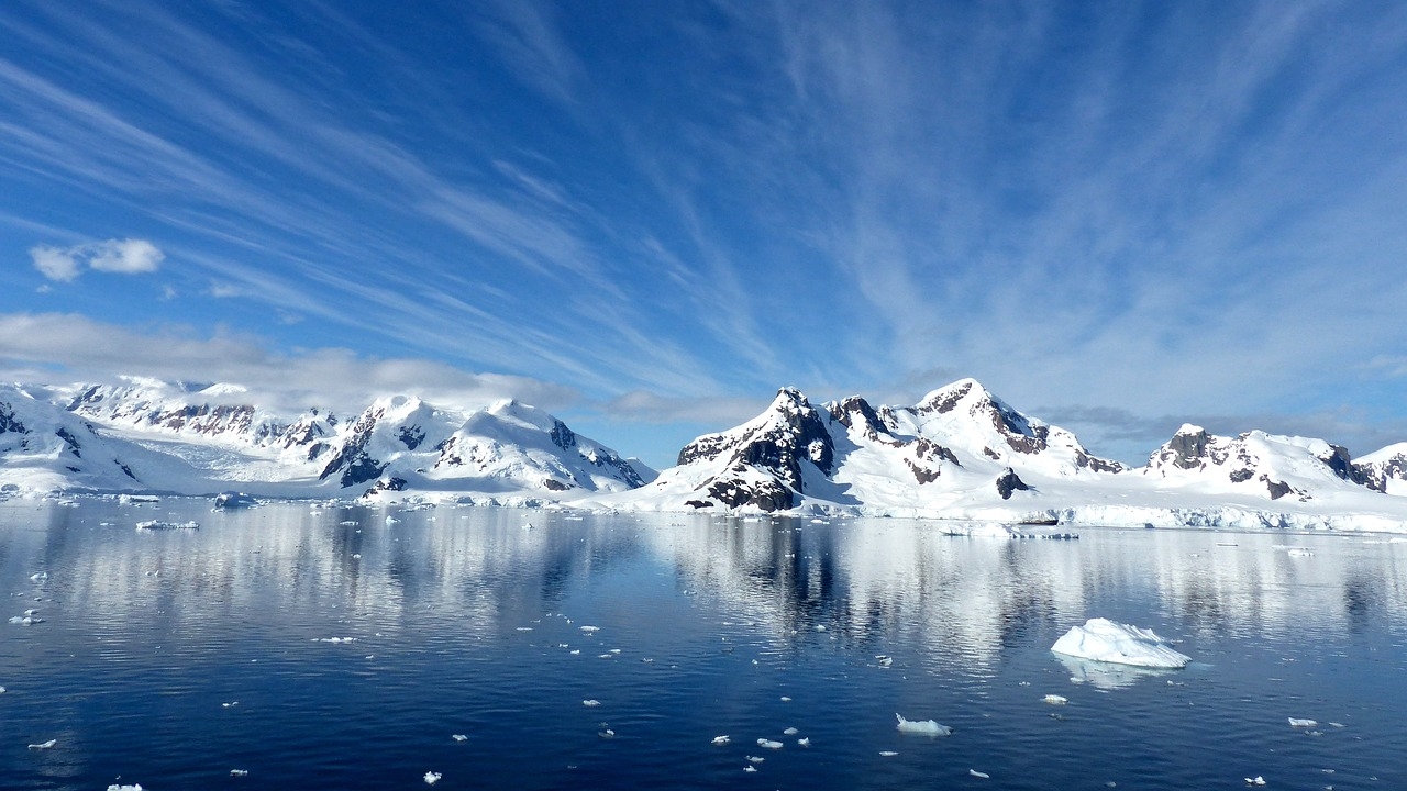 Antarctique : des scientifiques découvrent d&rsquo;étranges créatures sous 900 mètres de glace