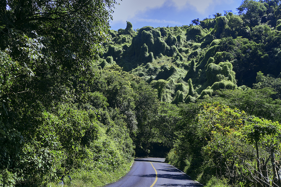 Les leçons des grands cycles