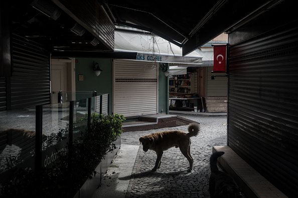 Istambul : le gérant d’un magasin de meubles place un matelas sur son trottoir pour que les chiens errants puissent se reposer