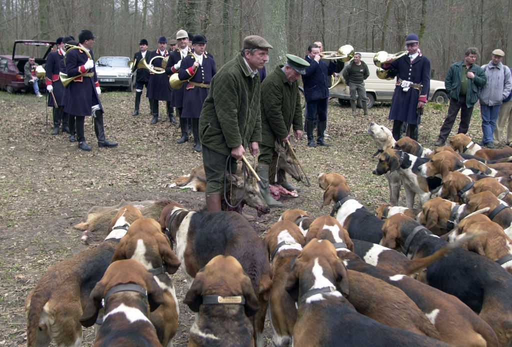 La Fondation Bardot frappe fort avec des panneaux publicitaires anti-chasse: « Chasseurs, sauvez des vies, restez chez vous »