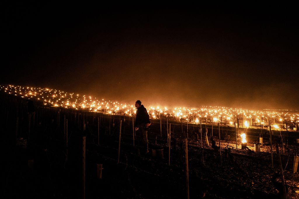 Les vignes françaises en feu pour lutter contre le gel