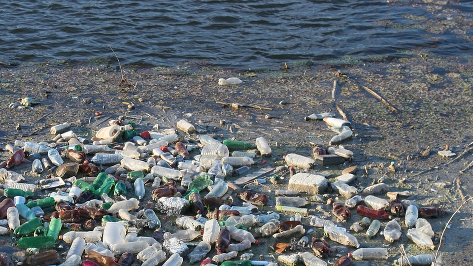 Paris : une marée de déchets accumulés sur le bassin de la Villette