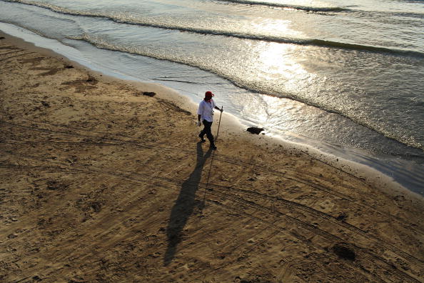 Le cadavre d’un poisson extrêmement rare venant des abysses sous-marins découvert par un promeneur sur une plage de Californie