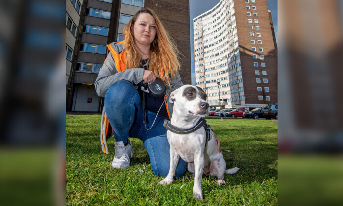 Un chien héroïque sauve la vie d&rsquo;une maman après qu&rsquo;elle ait été attaquée au couteau par des inconnus dans la rue