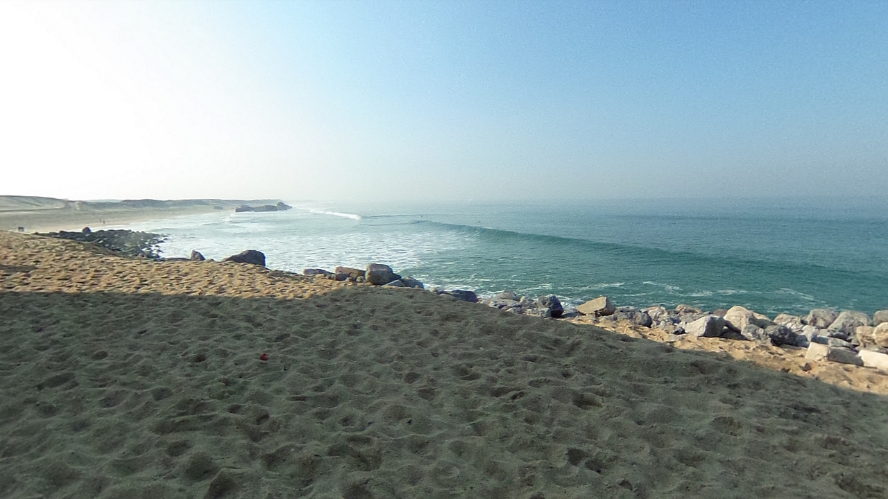 Landes : un dauphin blanc extrêmement rare observé au large de Capbreton
