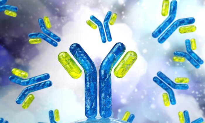 L&rsquo;immunité naturelle : l&rsquo;alliée oubliée de la santé publique