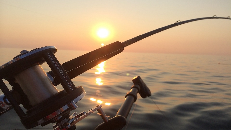 États-Unis : un poisson avec une dentition d&rsquo;homme pêché en Caroline du Nord