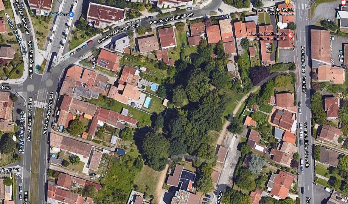 Gironde : des arbres menacés d&rsquo;abattage par un projet immobilier, une riveraine provoque le gel de la construction