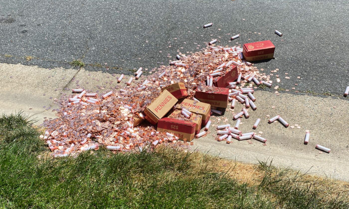 Un père jette 80 000 centimes sur la pelouse en dernier paiement de la pension alimentaire, sa fille réagit avec gentillesse