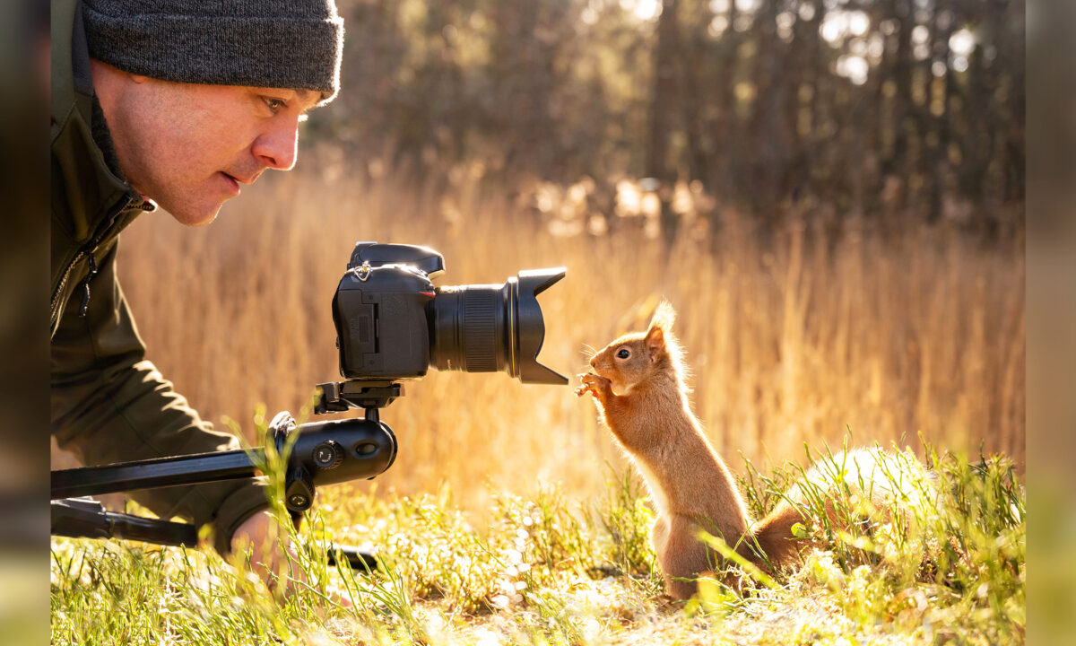 Des écureuils curieux et un petit oiseau font équipe pour examiner l&rsquo;appareil photo d&rsquo;un photographe
