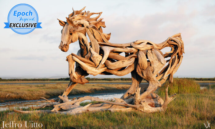 Un artiste sculpte un étonnant cheval léonardesque à partir de bois flotté torsadé provenant de l&rsquo;océan