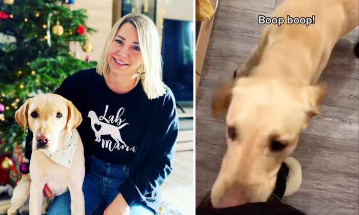 Un chien entraîné à détecter les problèmes de glycémie de son maître diabétique lui donne des coups sur la jambe pour l&rsquo;avertir