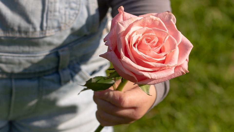 La Rochelle : leur fils est atteint d&rsquo;un cancer incurable, ils veulent réaliser ses rêves