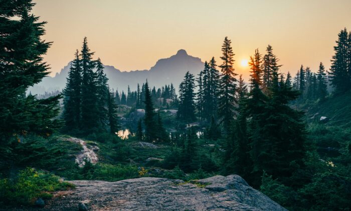 La nature est injuste, c&rsquo;est pourquoi les progressistes la détestent