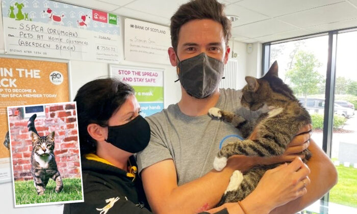 Un chat bien-aimé retrouve sa famille après avoir été porté disparu pendant 10 ans en Écosse