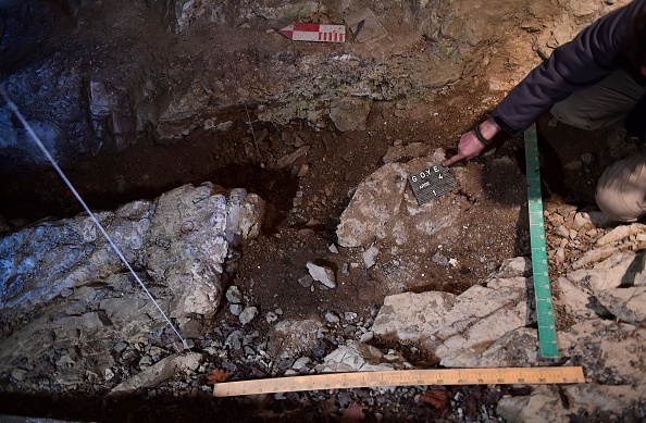 Pyrénées-Orientales : les ossements d’un lion de 400 kg faisant « le double de la taille » des lions actuels découverts dans une grotte