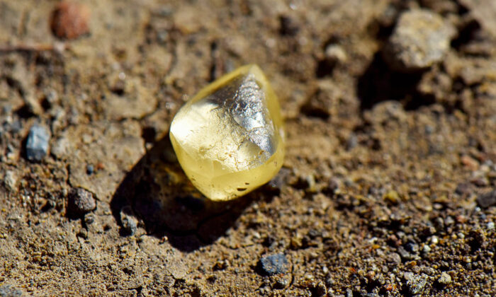 Une femme trouve un diamant jaune en forme de poire de 4,38 carats dans un parc territorial