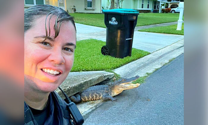 Un alligator coincé dans avaloir en Floride, sourit sur le selfie d&rsquo;une policière
