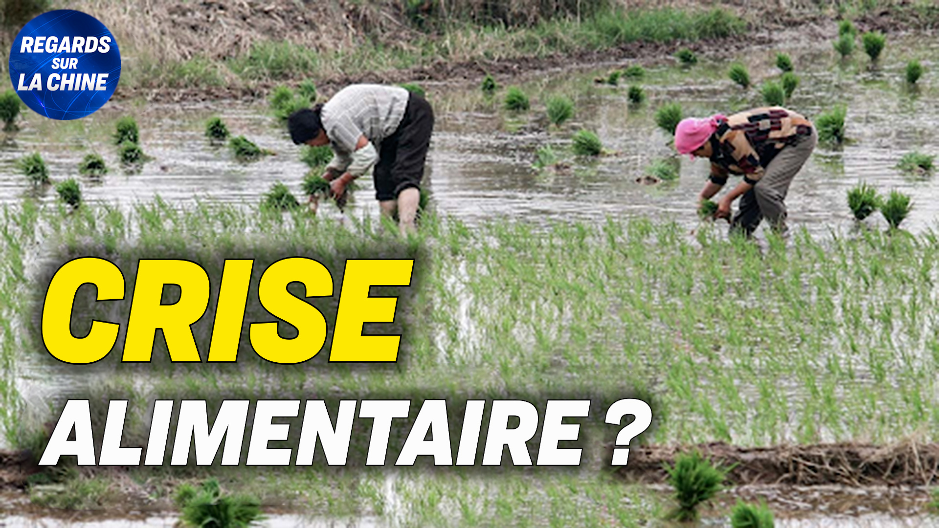 Focus sur la Chine – La Chine minimise l&rsquo;impact sur la production de céréales