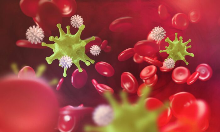 Les virus ne sont pas tous méchants – certains protègent notre santé