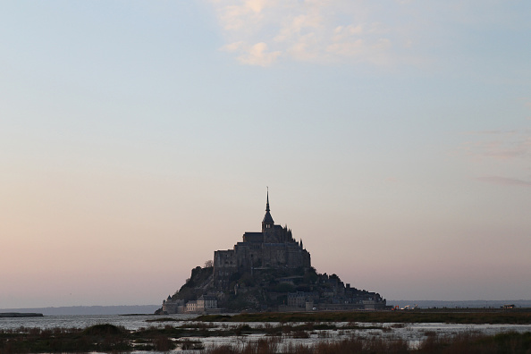 Mont Saint-Michel : ce tout petit oiseau, qui arrive de Sibérie, a parcouru 7500 kilomètres