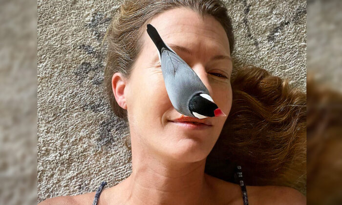 VIDÉO : un moineau de Java trouvé sur le sol quand il était bébé, rend toujours visite à ses parents humains après avoir repris la vie sauvage