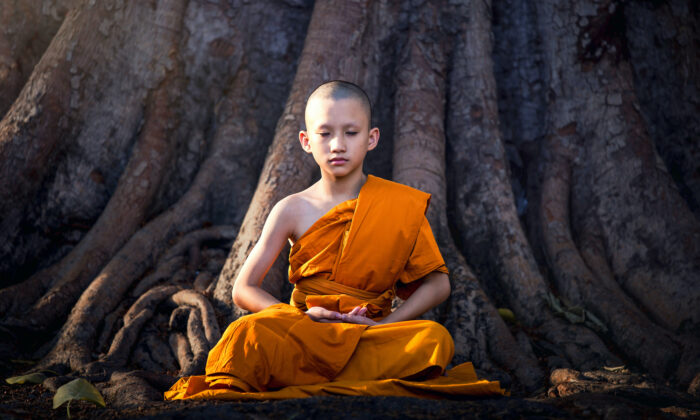 La métacognition peut réduire la « crise de la cognition »