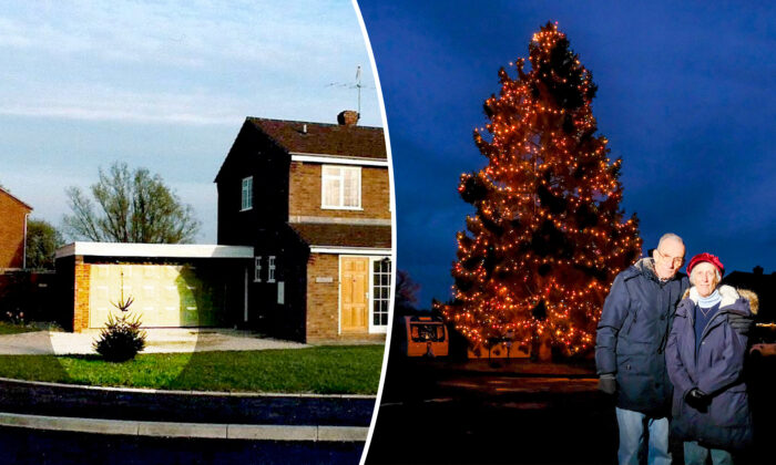 L&rsquo;arbre de Noël planté en 1978 sur la propriété d&rsquo;un couple britannique mesure maintenant 15 mètres de haut