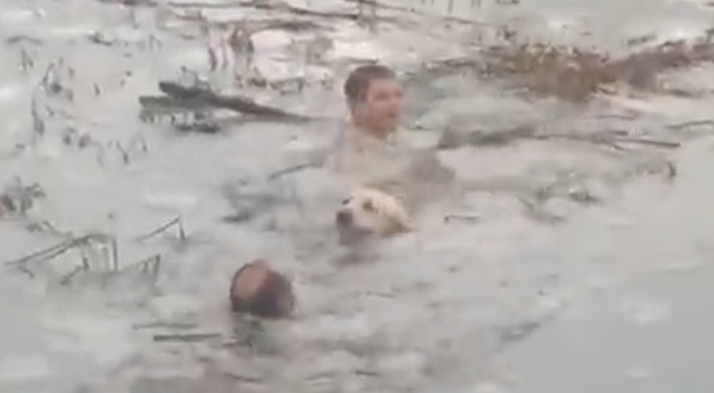 [Vidéo] Deux policiers espagnols sauvent un chien tombé dans un étang gelé