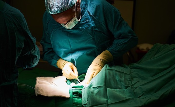 États-Unis : des chirurgiens américains ont greffé avec succès le cœur d&rsquo;un porc sur un homme de 57 ans