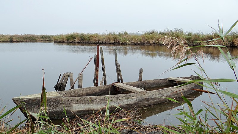 Un entrepreneur relance l&rsquo;activité traditionnelle de construction de chalands, barques typiques des marais de Brière