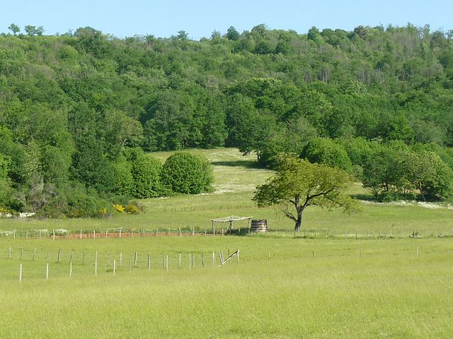 En Normandie, un couple d&rsquo;agriculteurs plante 2.500 arbres autour de sa ferme « pour les générations futures »