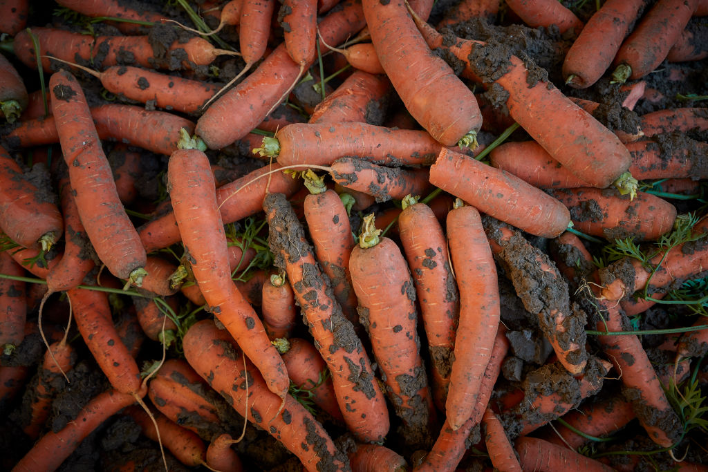 Paimpol : des paniers antigaspillage avec des légumes « biscornus », « hors calibres », « bizarres » sont proposés à un prix défiant toute concurrence