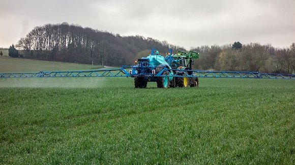 Betterave sucrière : nouvelle dérogation validée pour les néonicotinoïdes, l&rsquo;insecticide hautement toxique  « tueur d&rsquo;abeilles »