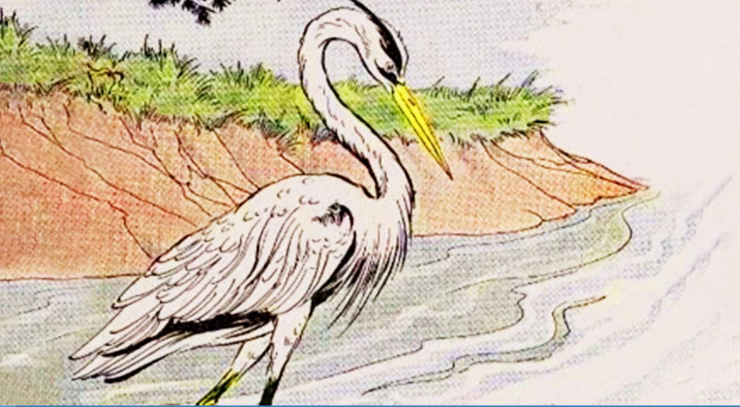 Les Fables d&rsquo;Ésope : « Le héron »