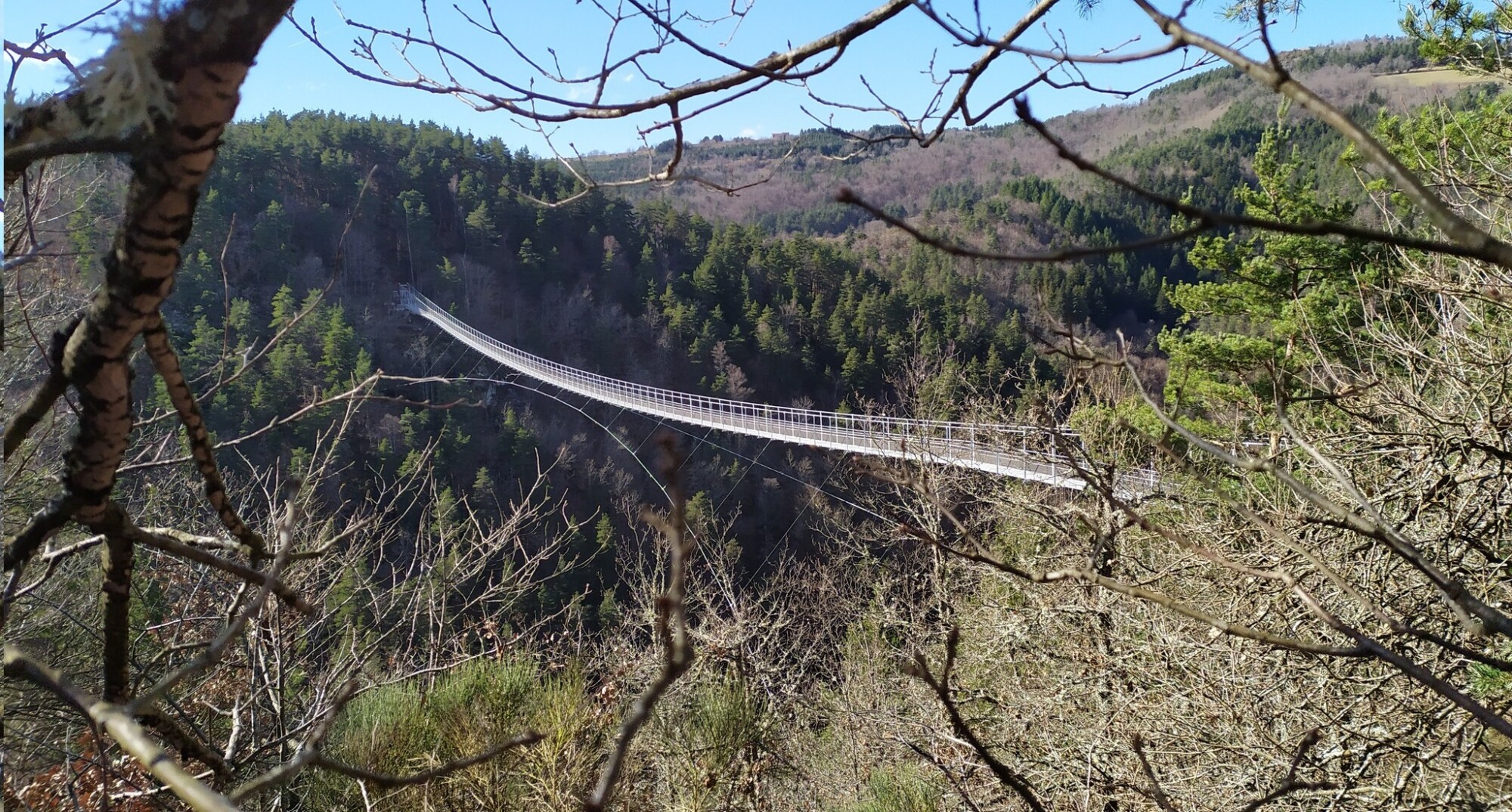 Haute-Loire : la passerelle himalayenne des gorges du Lignon devrait ouvrir pour les vacances de Pâques