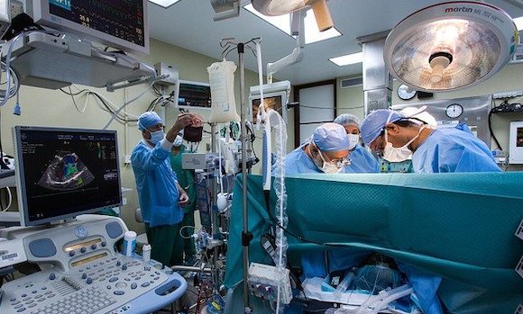 États-Unis : le premier patient greffé avec un cœur de porc est décédé