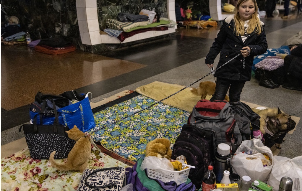 Ukraine : un couple de vétérinaires reste au pays et propose aux gens de prendre soin de leurs animaux