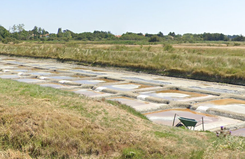 Une pirogue de plus de 2000 ans extraite d&rsquo;un marais en Vendée : « Une découverte exceptionnelle, un intérêt historique majeur »