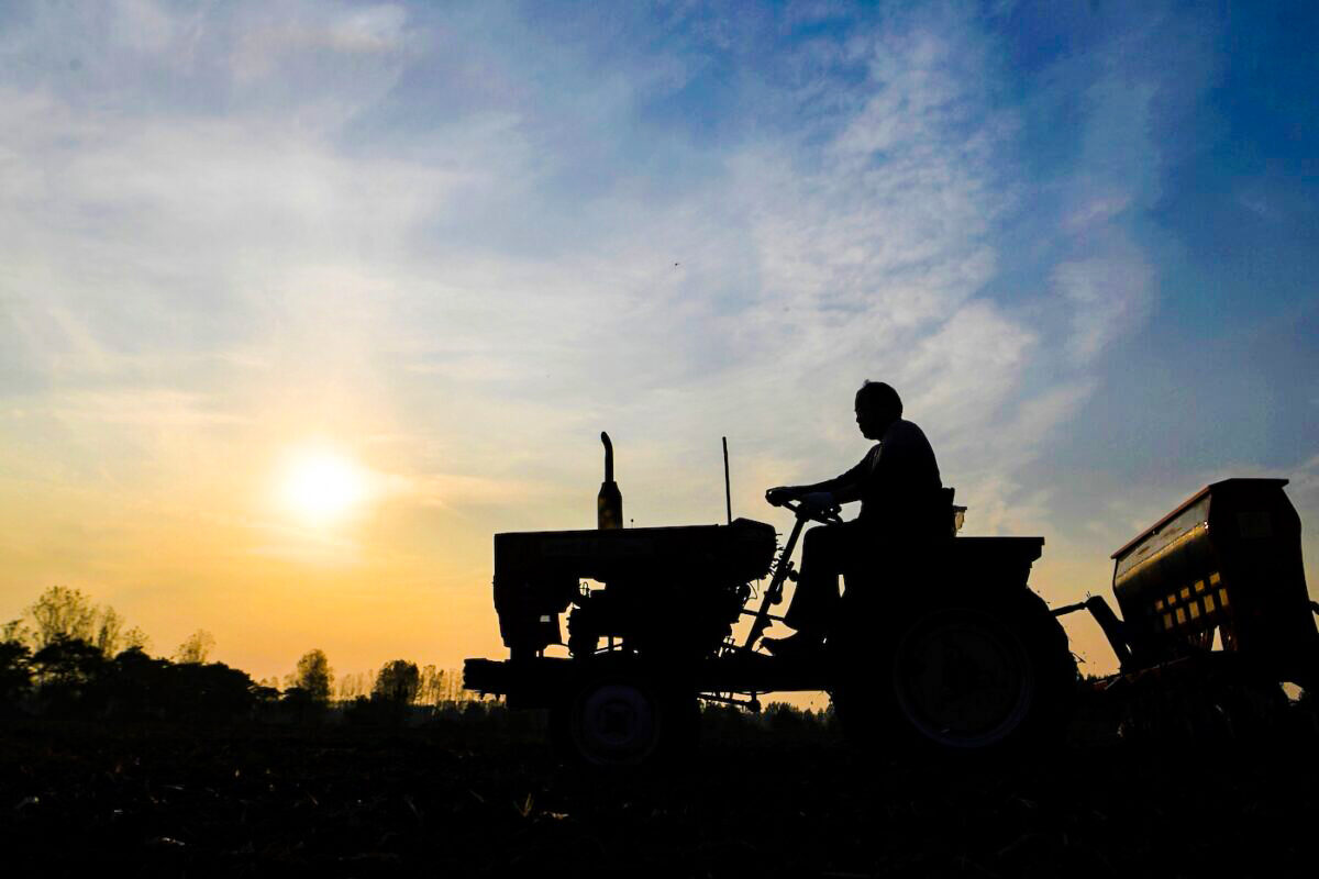Menace de pénurie alimentaire en Chine alors que les agriculteurs sont confinés