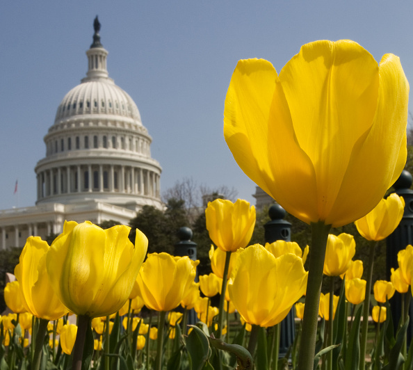 Un avion inoffensif déclenche l&rsquo;évacuation du Capitole à Washington