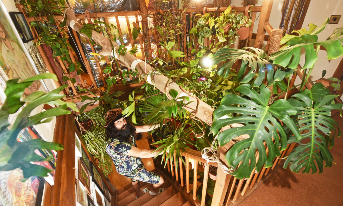 Tarzan en chair et en os : un amoureux des plantes dépense plus de 24.000 € pour transformer sa maison en jungle