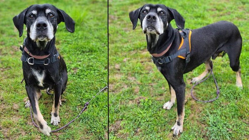 Lorraine : abandonné à l&rsquo;âge de 15 ans, Tay a suscité une vague d&rsquo;émotions qui a abouti à son adoption en moins de 24h