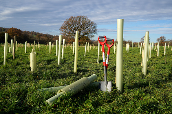 Finistère : un agriculteur lutte contre l&rsquo;assèchement des sols en plantant des arbres