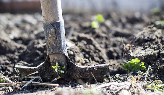 États-Unis : un homme meurt en enterrant dans son jardin le corps d&rsquo;une femme assassinée