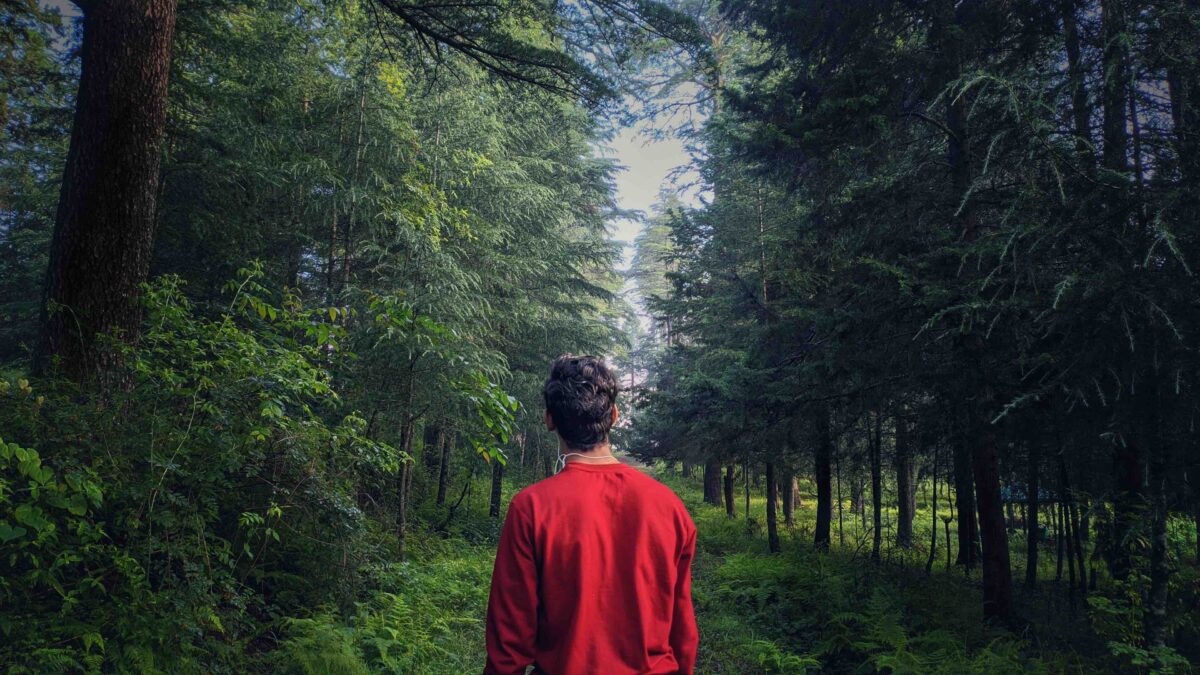 Une expérience de mort imminente : un pilote s&rsquo;écrase et voit son propre corps suspendu dans le cockpit